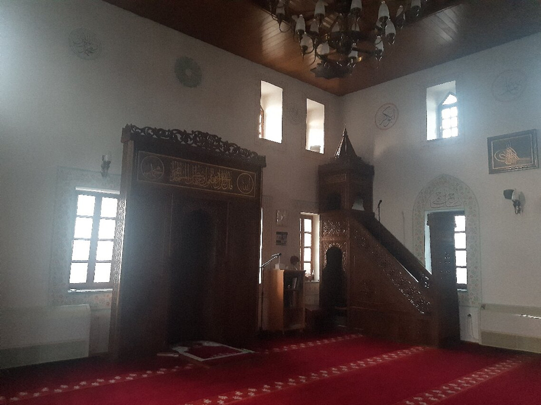 Osmanagic Mosque-波德戈里察必去景点