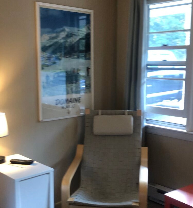 The Little Lion主图