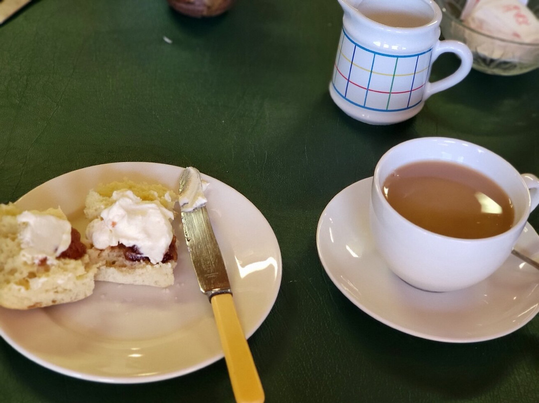 The Campbell Rhododendron Gardens-布莱克希思必去景点