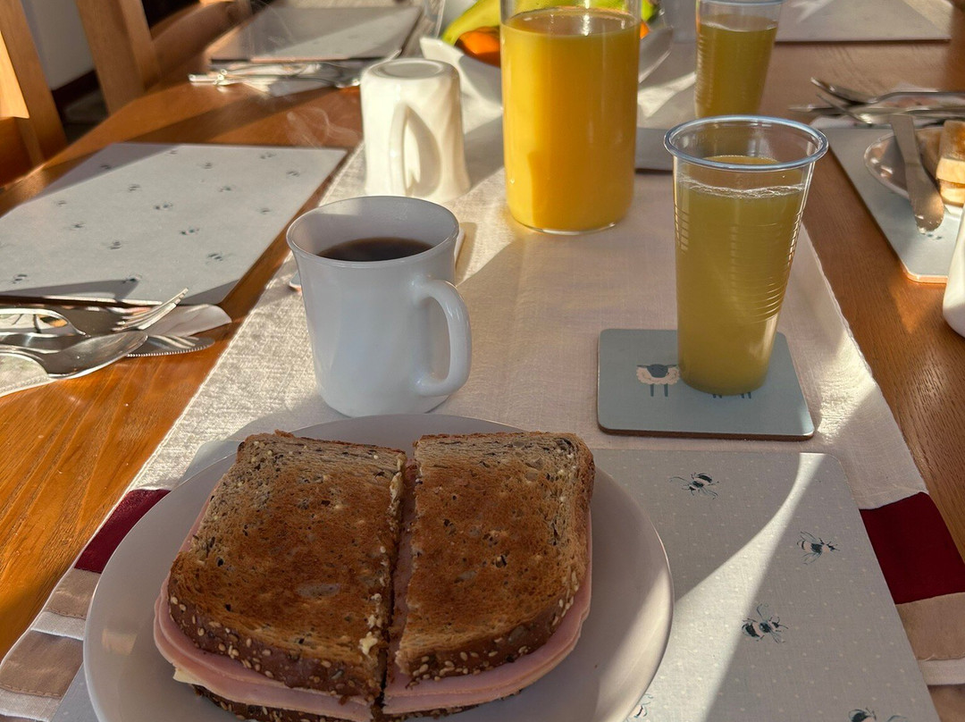 Fernhill Bed and Breakfast主图
