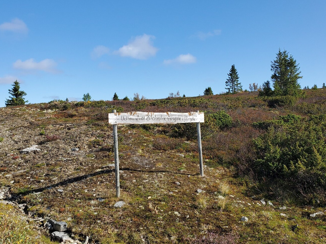 Asdalstjorna Nature Reserve景点图片