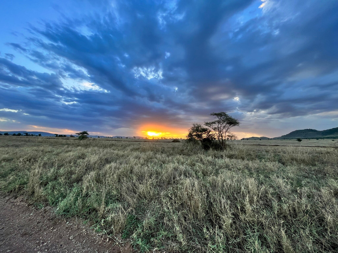 Sound Of Tanzania Explores-阿鲁沙必去景点