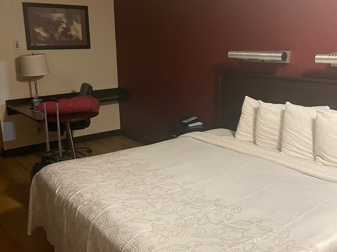 Red Roof PLUS+ Washington, D.C. - Alexandria主图