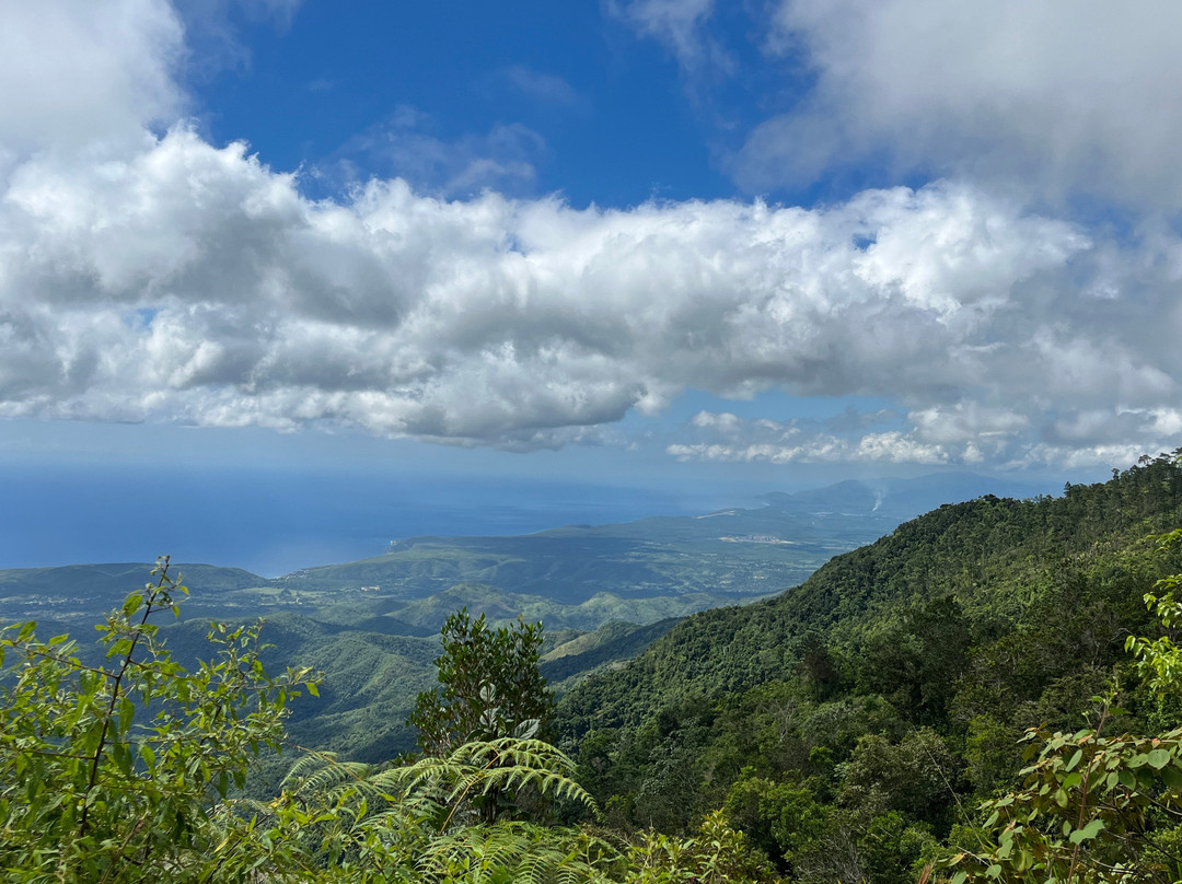 Lewis and Clark Trail Adventures - Day Tours-米苏拉必去景点