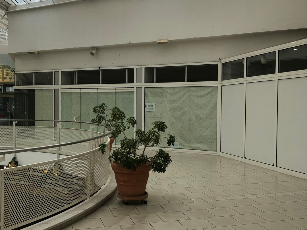 Hallplatz Galerie景点图片
