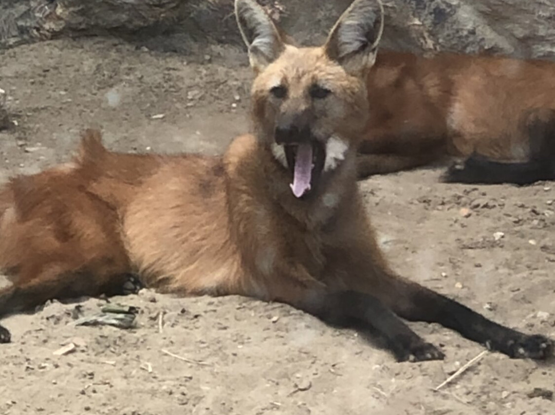 EcoPark Barra Grande