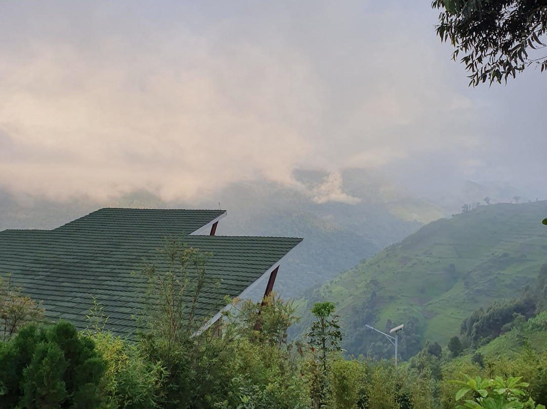 Gorilla Heights Lodge - Bwindi主图