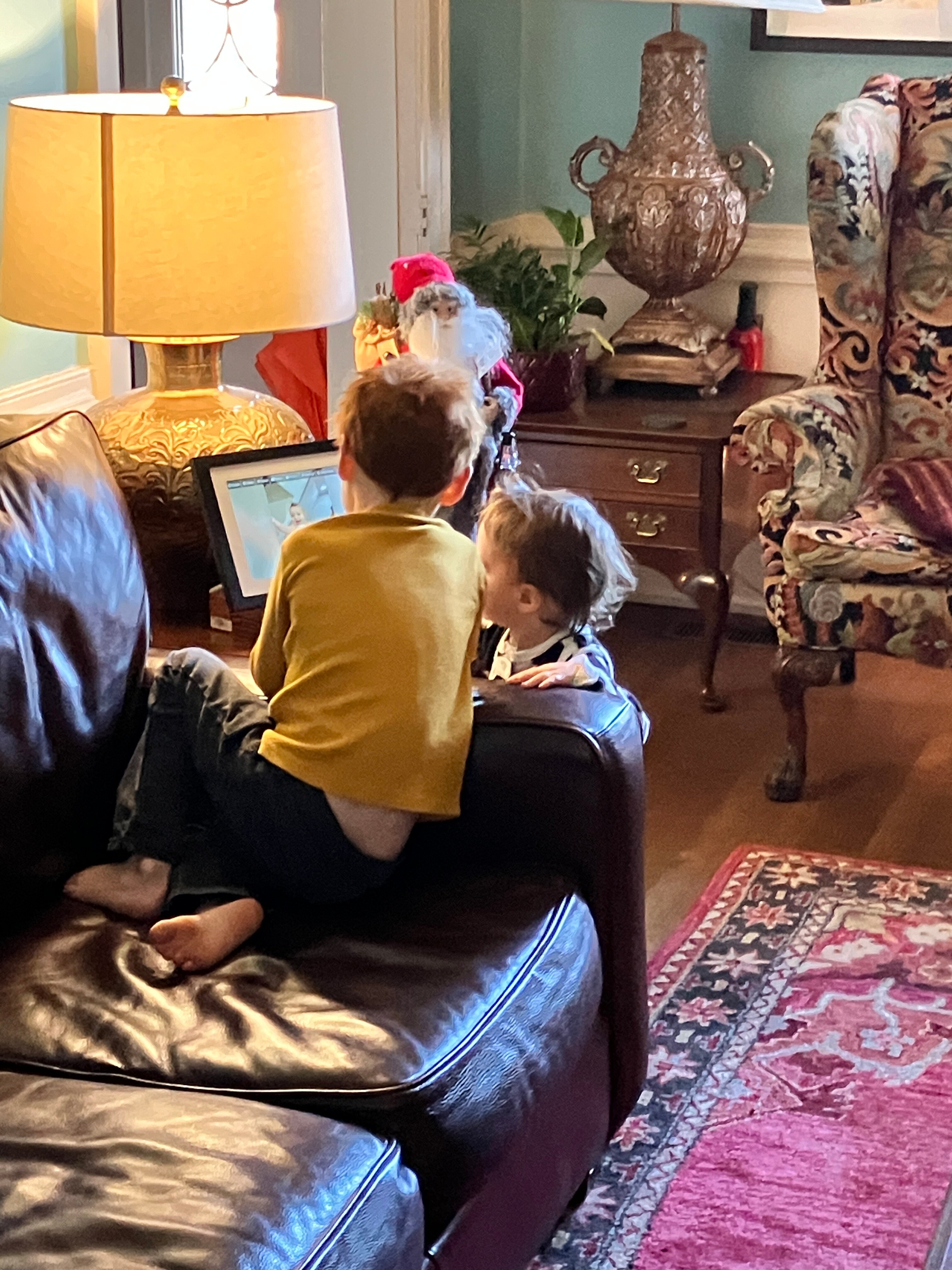 The Williamsburg Manor Bed and Breakfast-家庭/游戏区