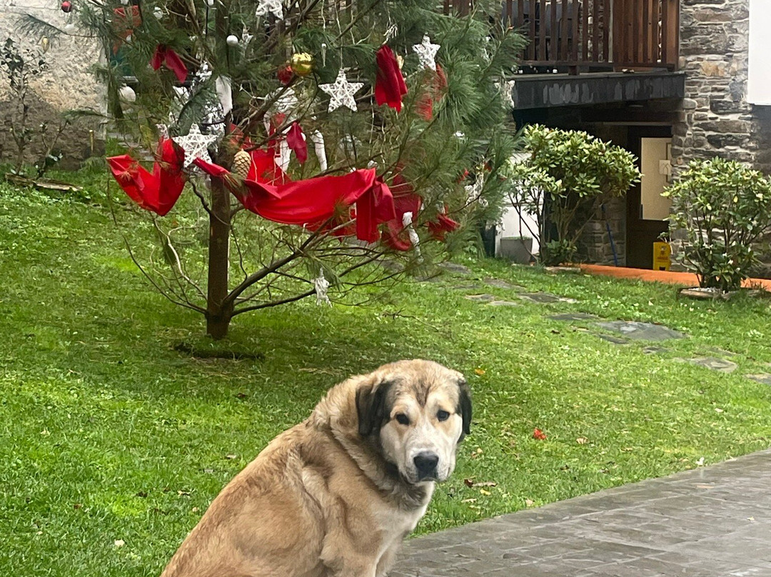 Hotel Rural Las Montanas de Pumar主图