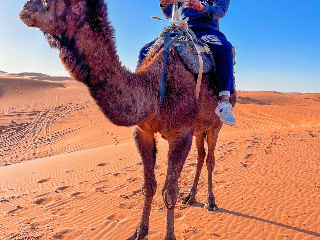 Morocco Official Tours-卡萨布兰卡必去景点