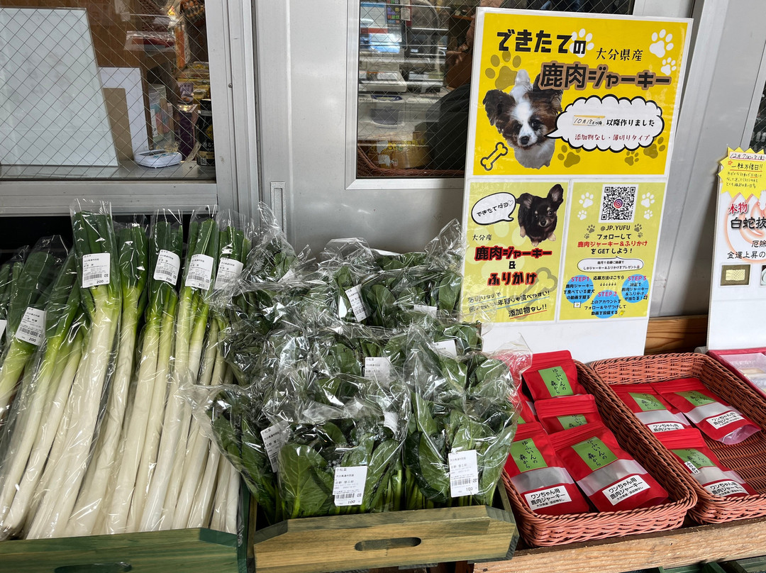 Michi-no-Eki Yufuin-由布市必去景点
