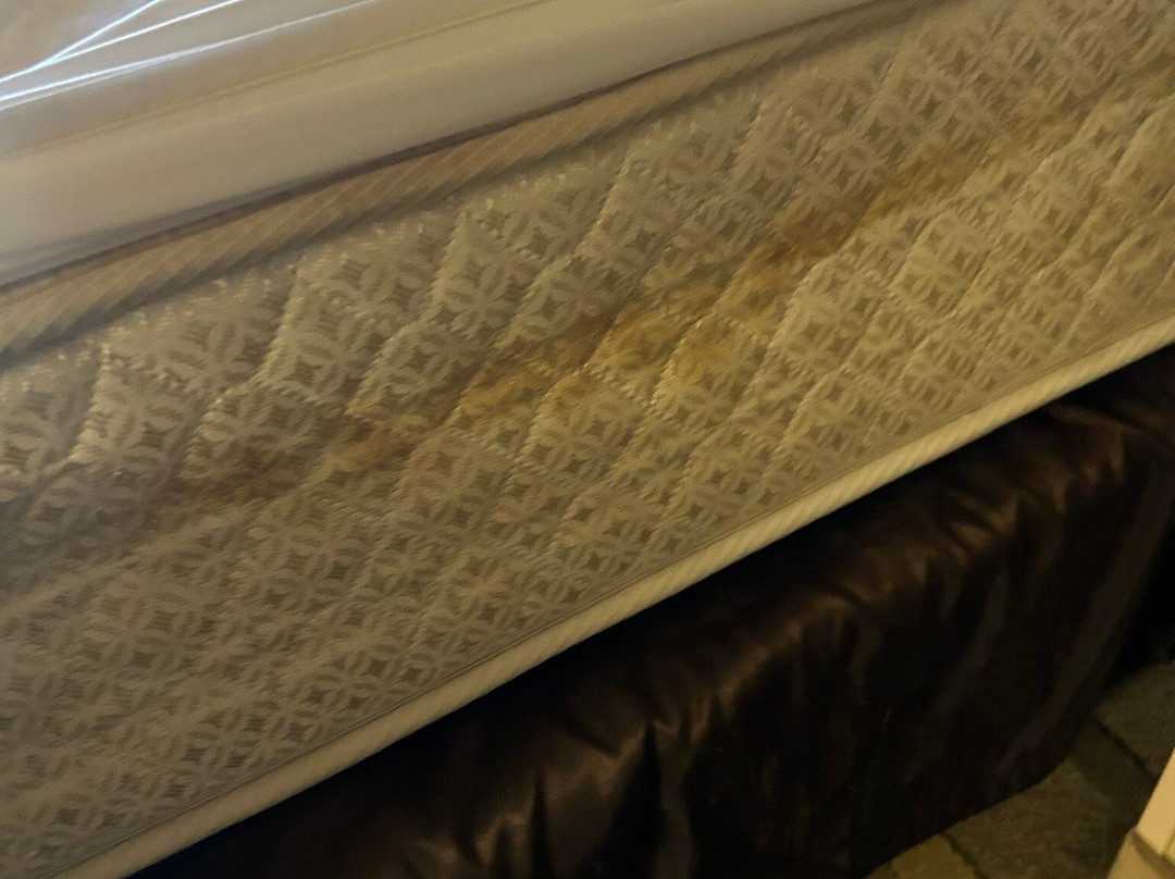 Quality Suites Sherman主图