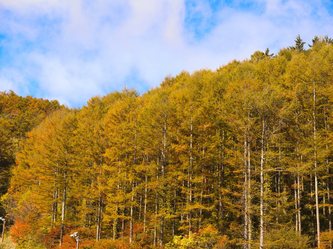 Ropeway Heavens Sonohara in Fujimidai Highland-阿智村必去景点