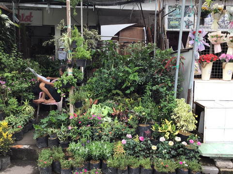 Toko Bunga Fian-泗水必去景点