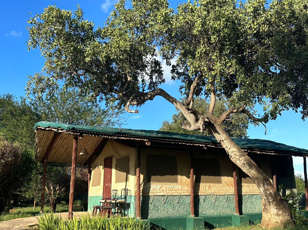 Sentrim Tsavo Lodge主图