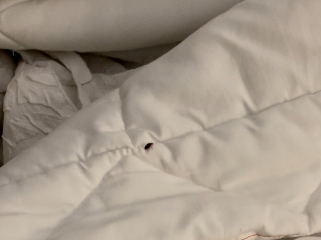 Hampton Inn & Suites Tyler-South主图