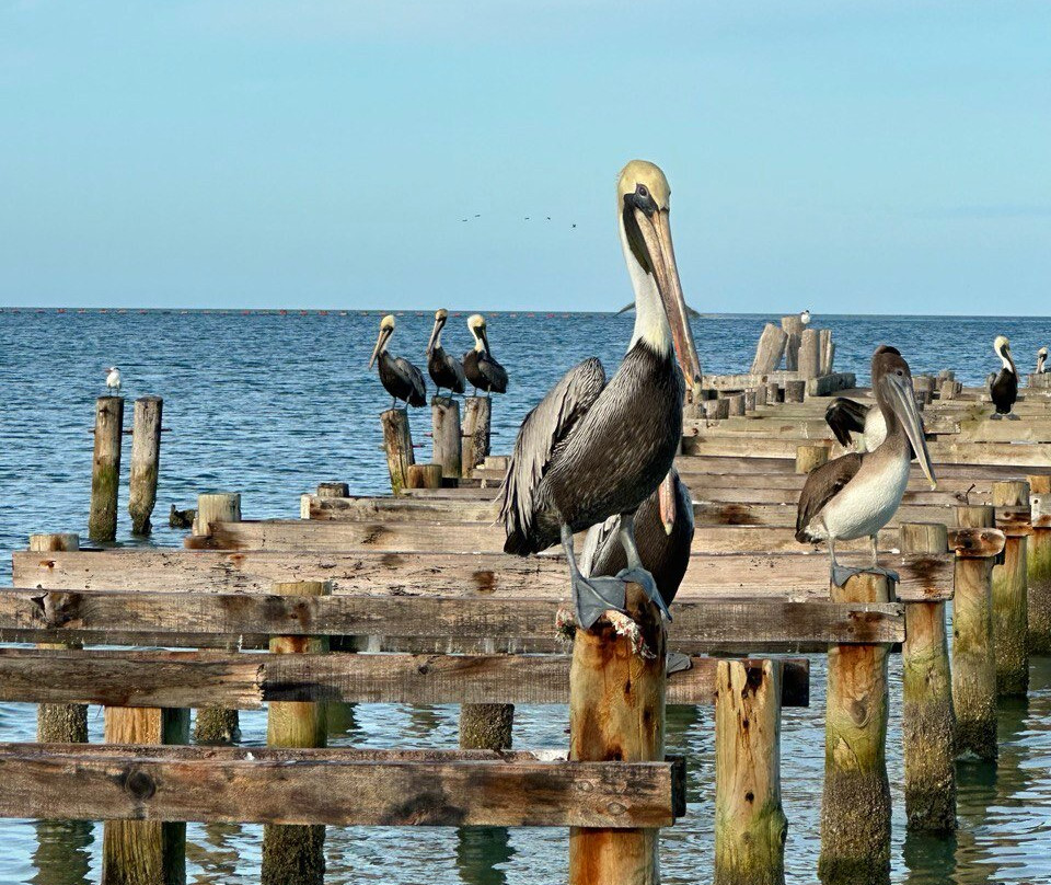 Hotel Paradise Coche主图