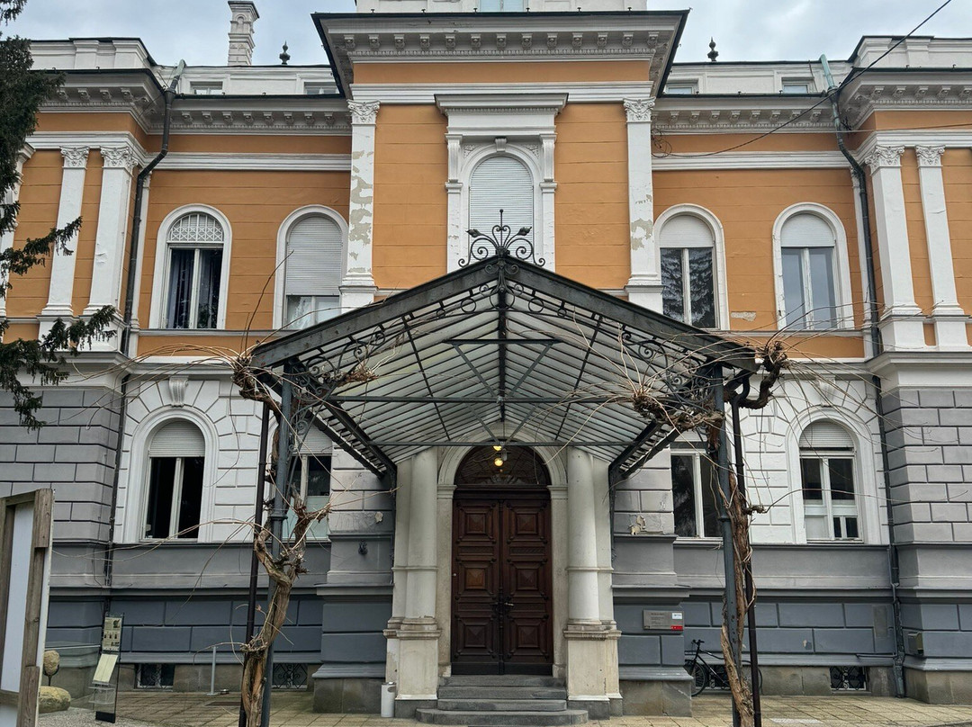 The National Liberation Museum Maribor (Muzej narodne osvoboditve Maribor )景点图片