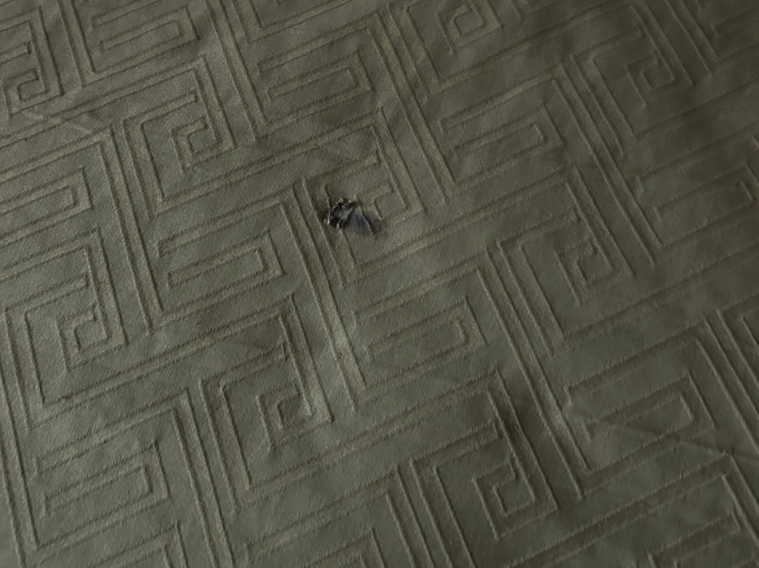 Econo Lodge Inn & Suites Chickamauga Battlefield主图