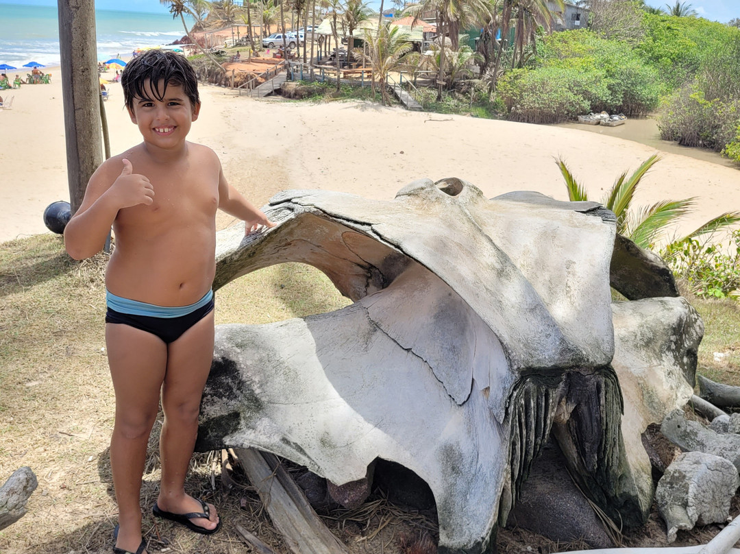 Costa Dourada Beach景点图片