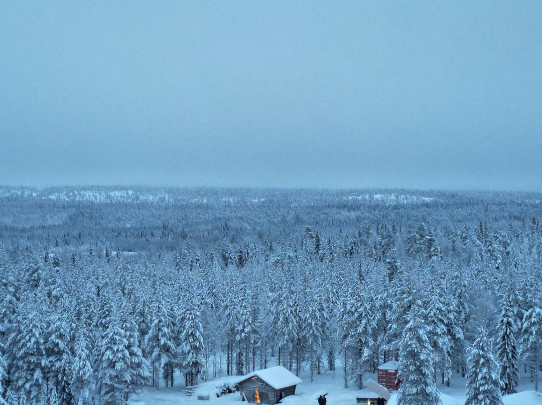 Lapland Salmon Lodge景点图片