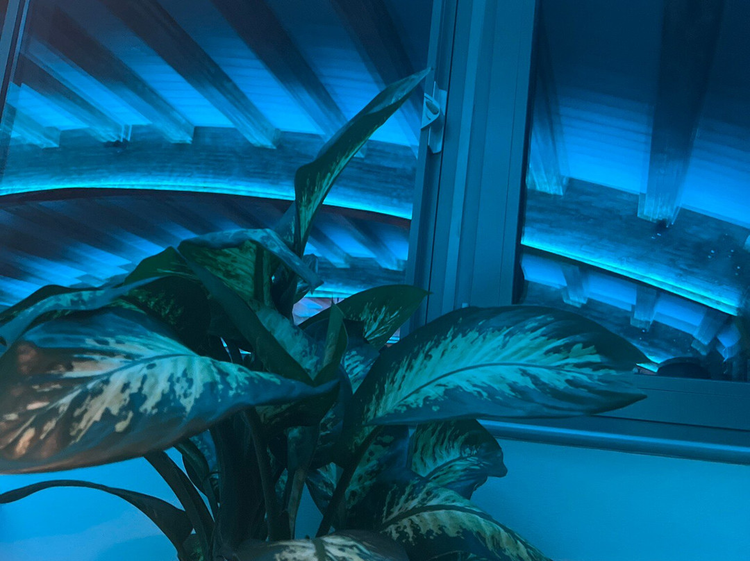 Quarto Piano Rooftop Bar-Tortoli必去景点