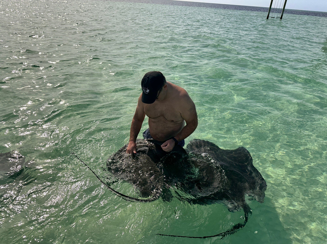 Conch & Coconut-哈勃岛必去景点