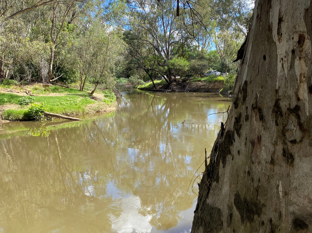 Frank Garth Reserve-Wangaratta必去景点