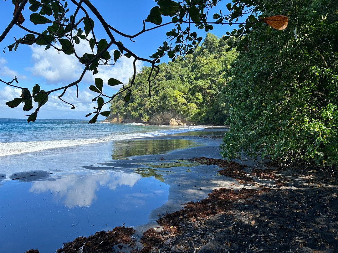 Anse Couleuvre景点图片