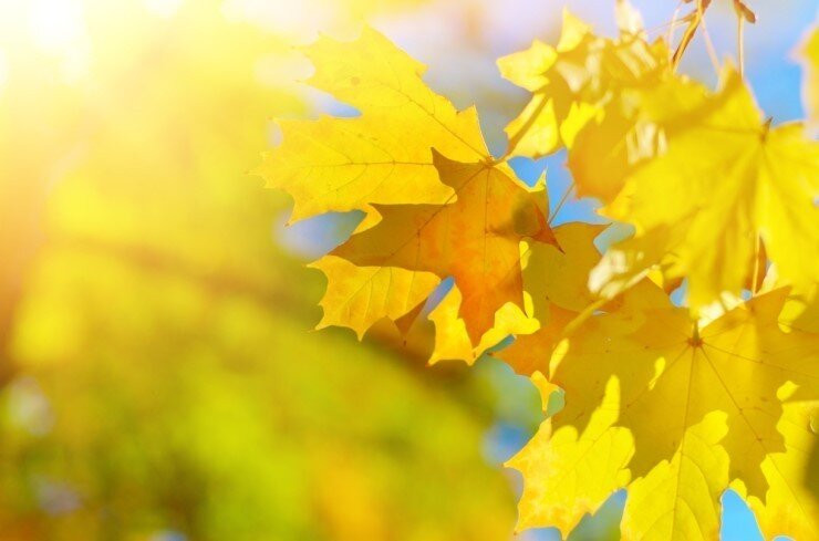 Mahan Education and Cultural Center-益山市必去景点