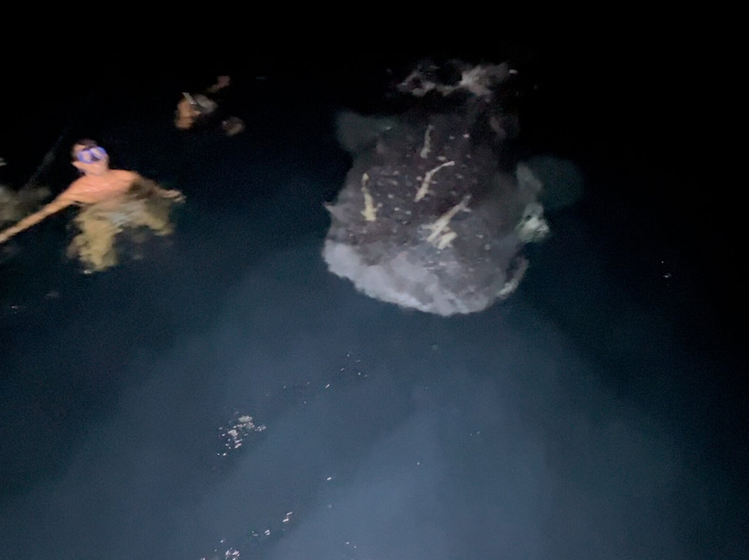 Sous l'Ocean-马尔代夫必去景点