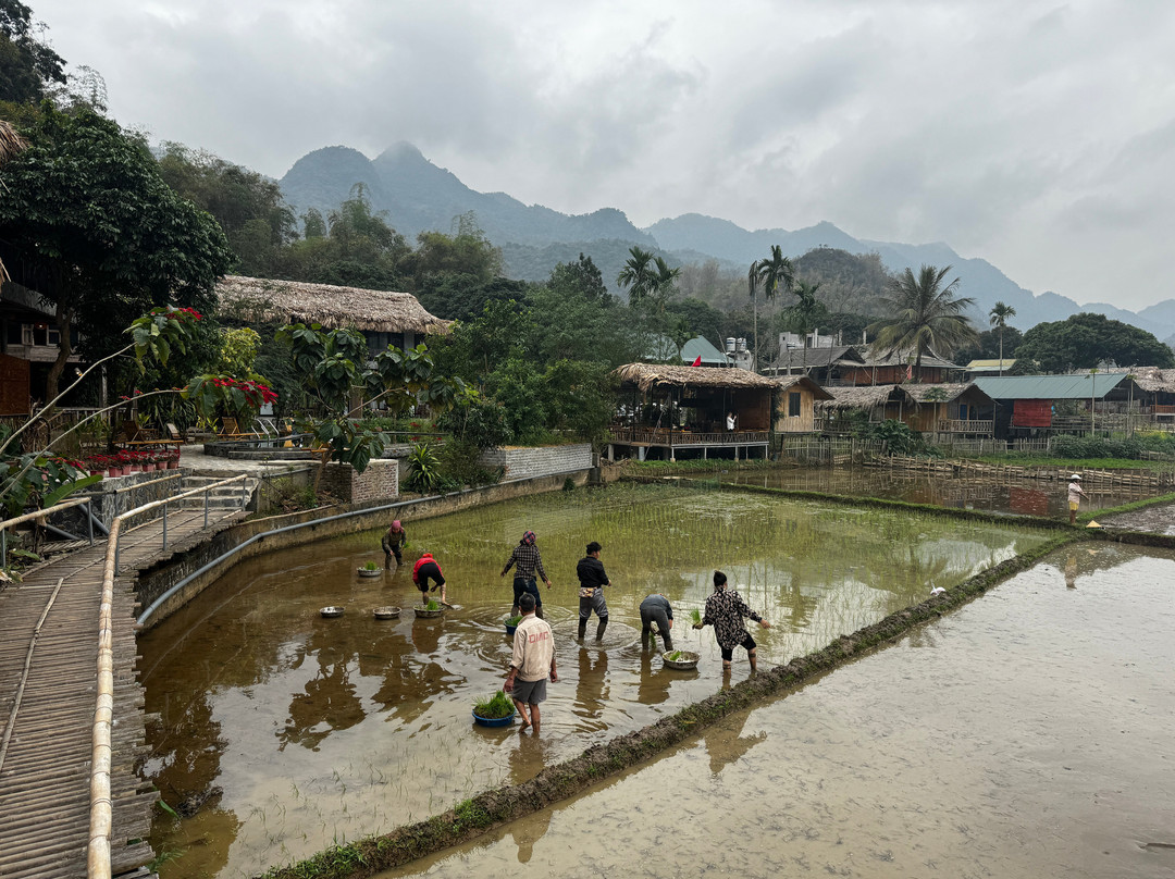 Little Mai Chau Home Stay主图
