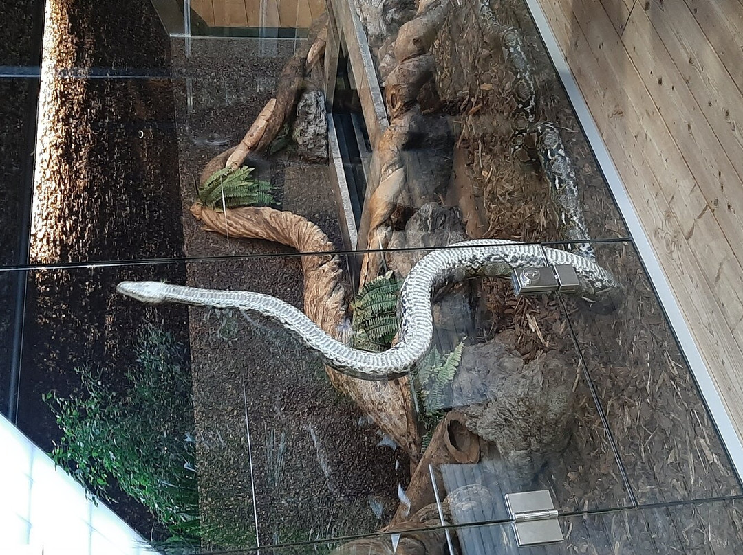 Reptile House De Aarde Breda景点图片