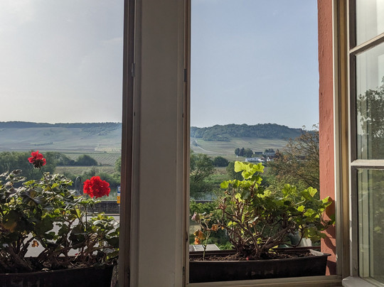 Weingut Himmeroder Hof主图