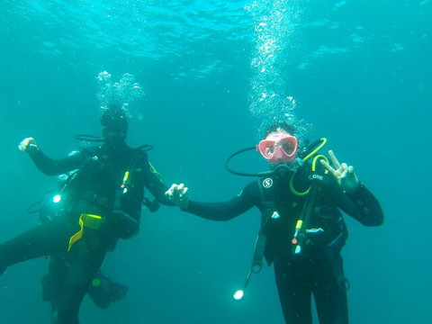 Anaya Plongée-拉西奥塔必去景点