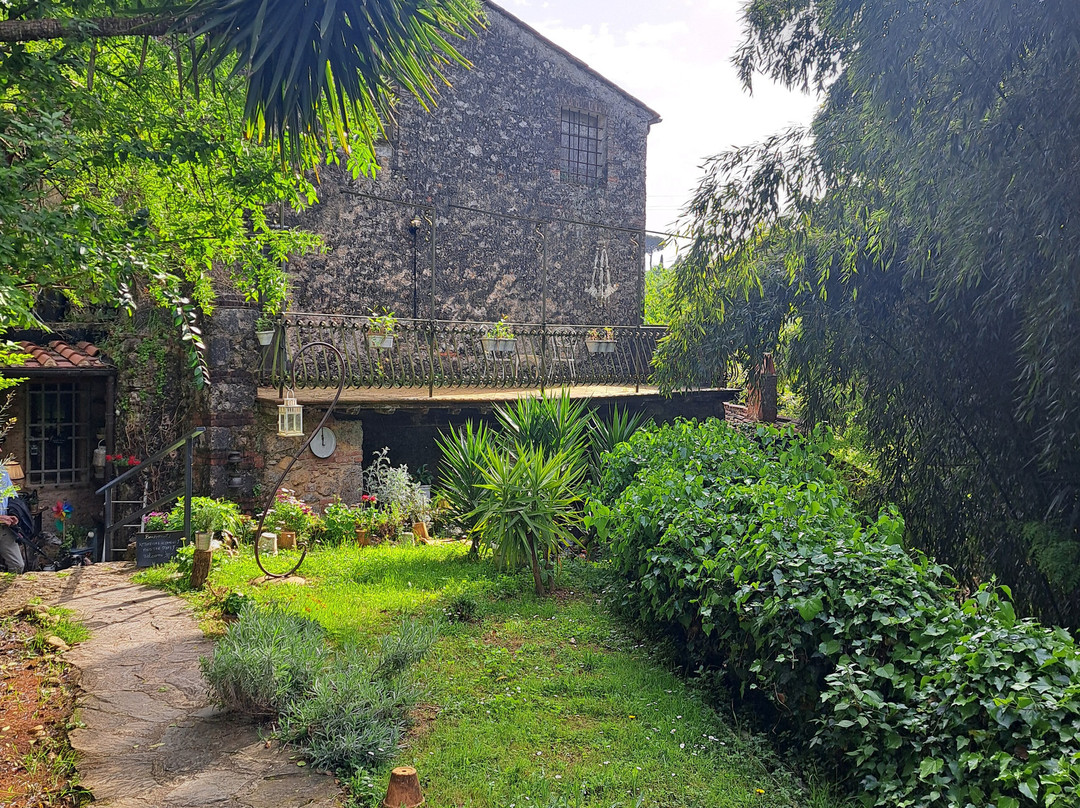 Guest House Antico Frantoio Pietrasanta主图