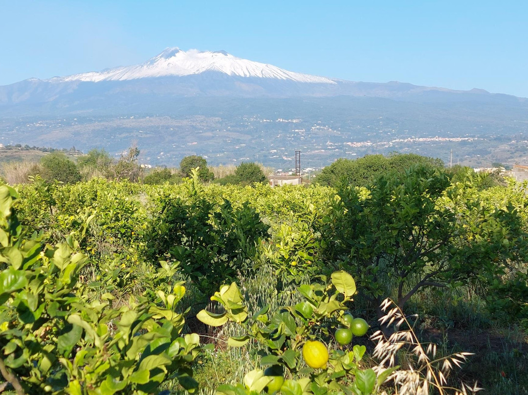 Villa Laura Apartment主图