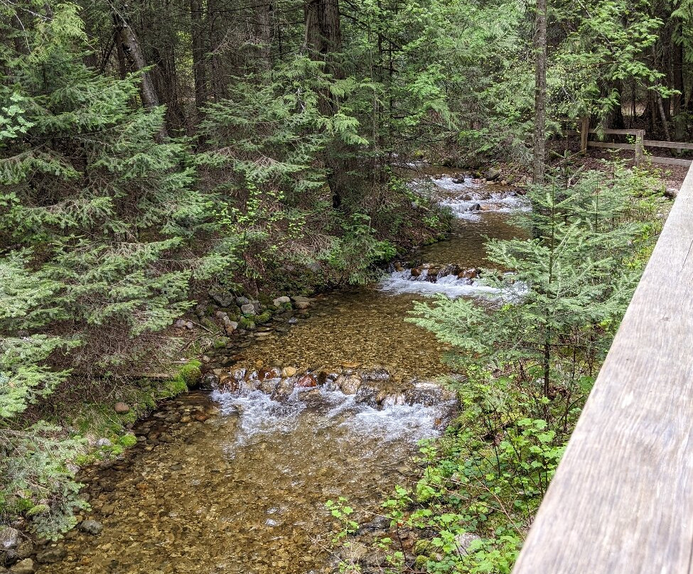 Kokanee Creek Provincial Park景点图片