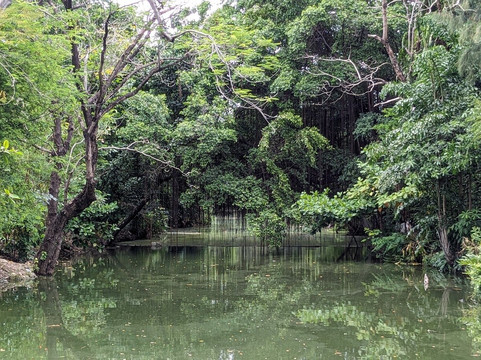 火车公园-曼谷必去景点