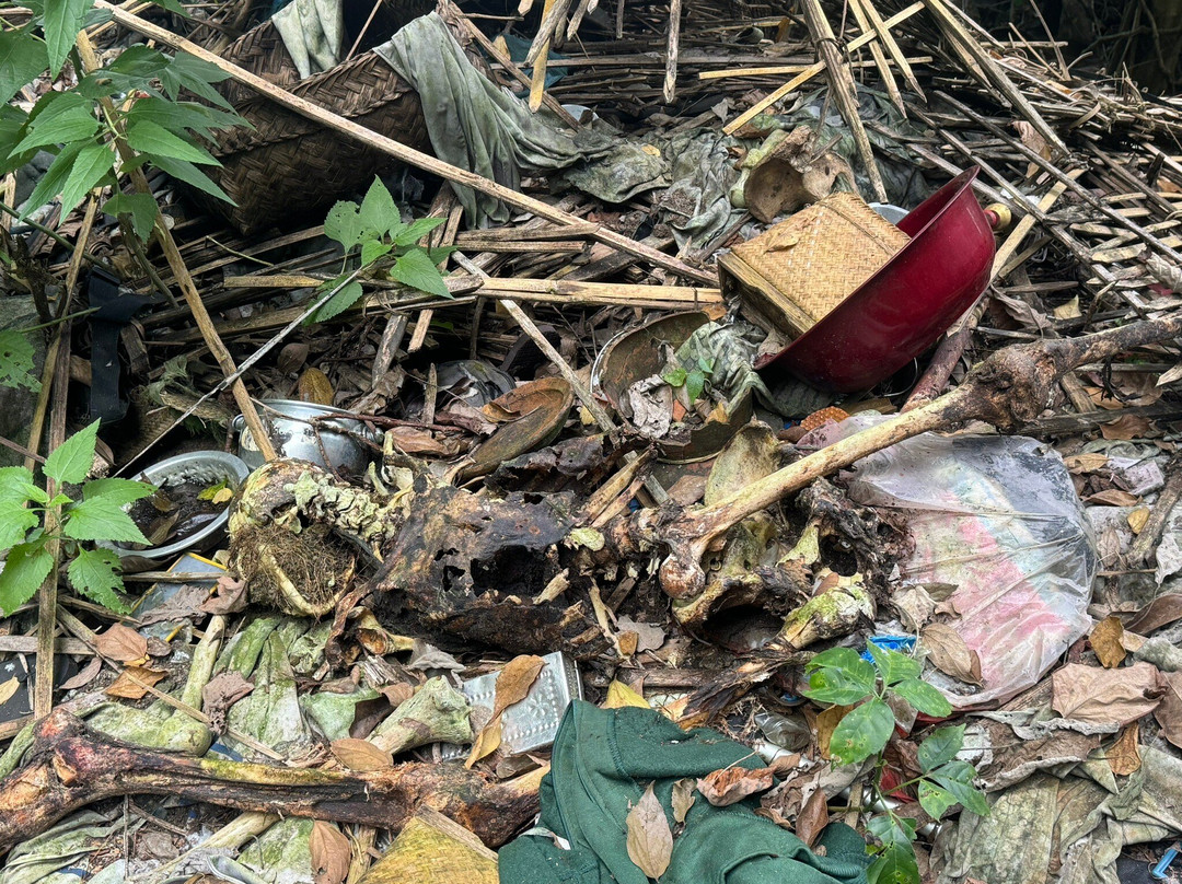 Trunyan Cemetery-金塔马尼必去景点