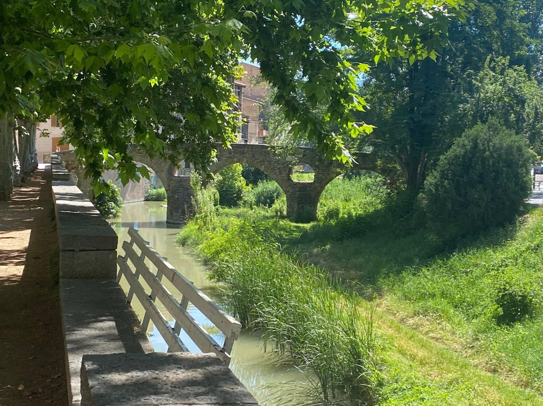 Pont de Queralt-维克必去景点