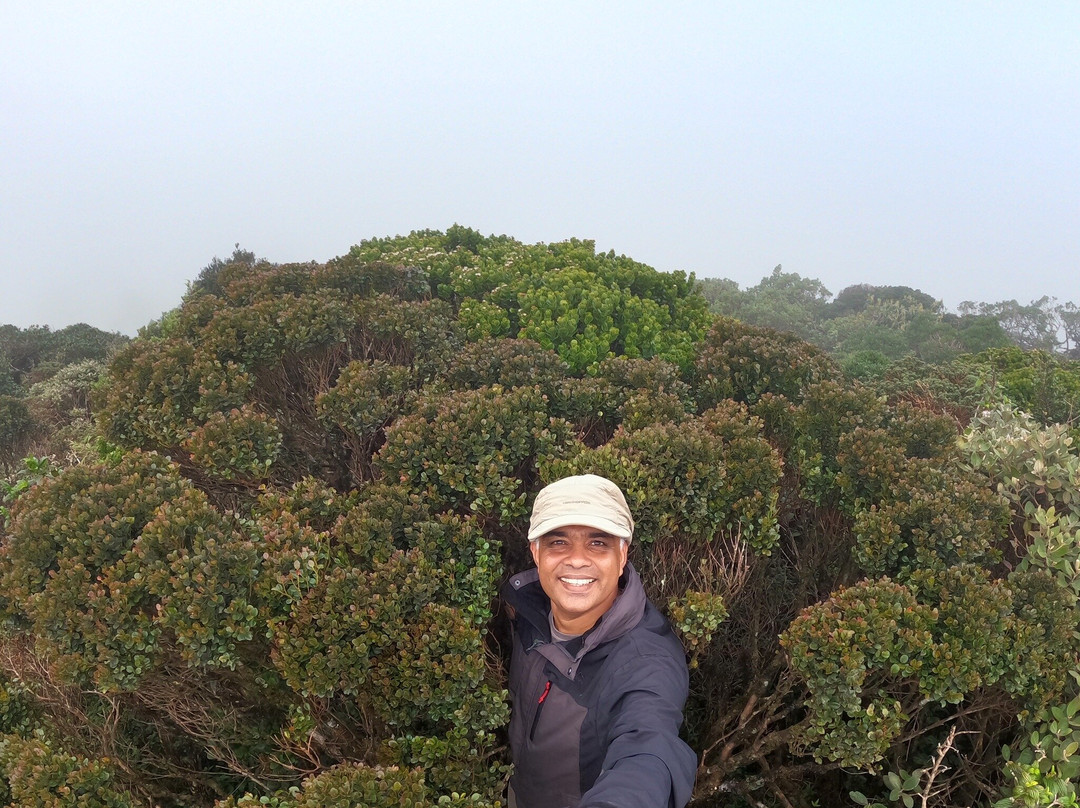 Thotupola Kanda Nature Trail-Ohiya必去景点