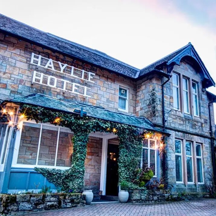 Haylie Hotel-官方