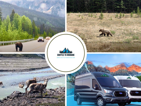 Shuttle to Moraine & Louise Inc.