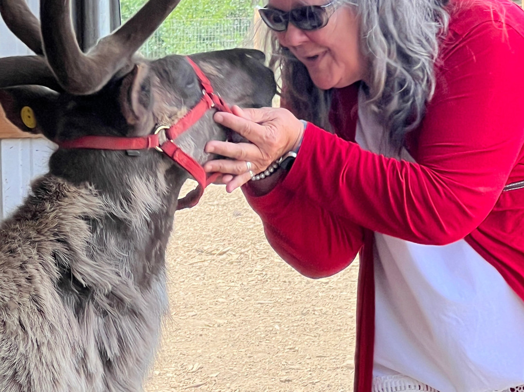 Goldendale Reindeer-Goldendale必去景点