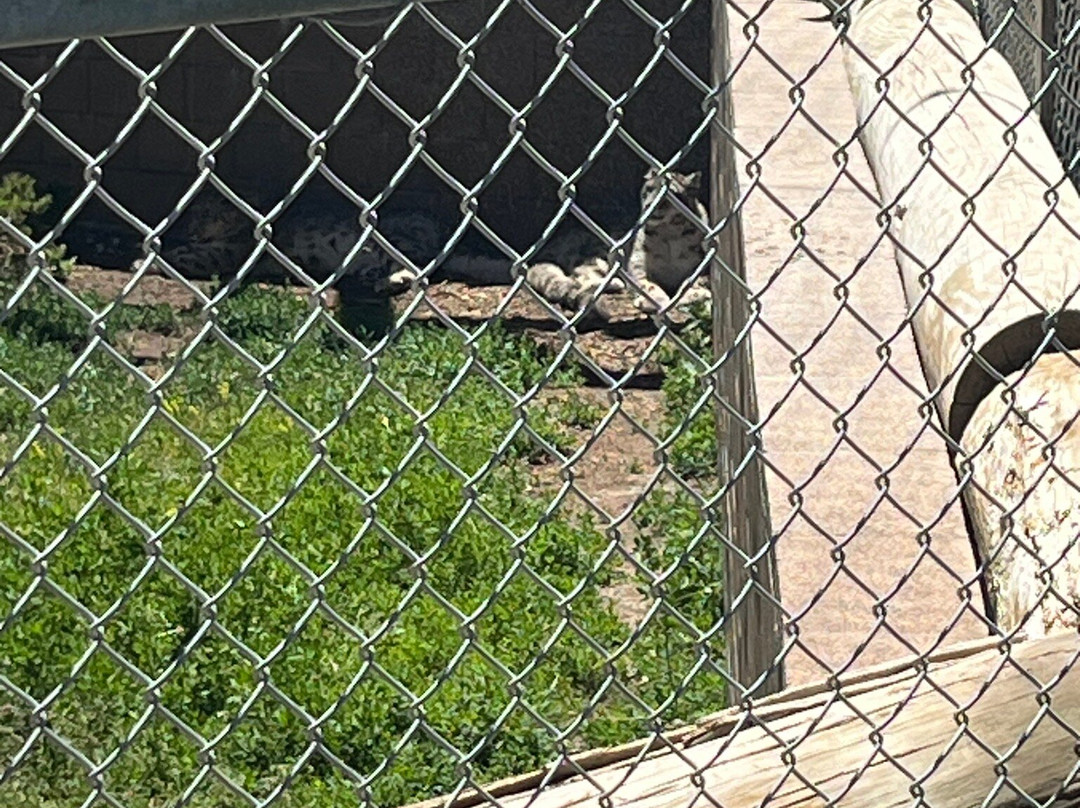 Big Bear Alpine Zoo at Moonridge-大熊湖必去景点