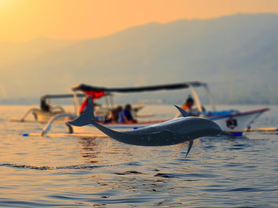 Mang Nono Dolphin Tour-新加拉惹必去景点