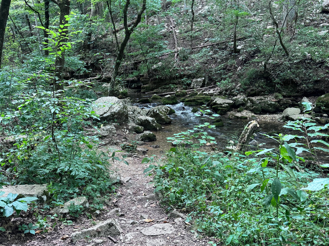 Blanchard Springs Recreation Area景点图片