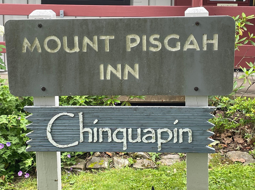 Mountain Inn & Suites Flat Rock主图