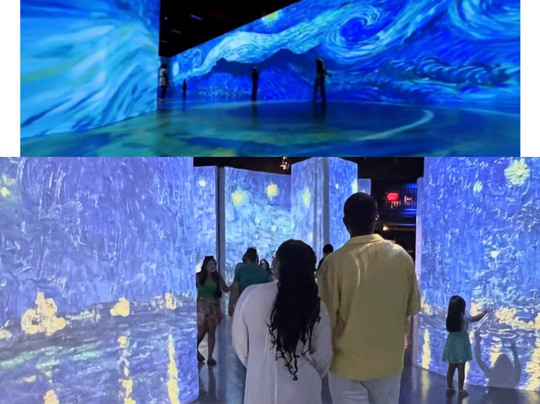 Van Gogh: The Immersive Experience-华盛顿特区必去景点